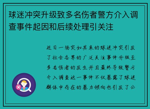 球迷冲突升级致多名伤者警方介入调查事件起因和后续处理引关注
